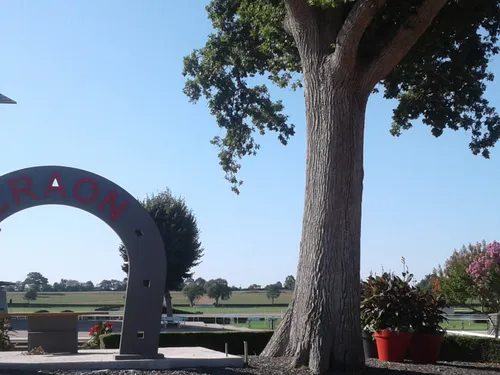 Hippisme : nos préférés pour ce samedi 3 septembre